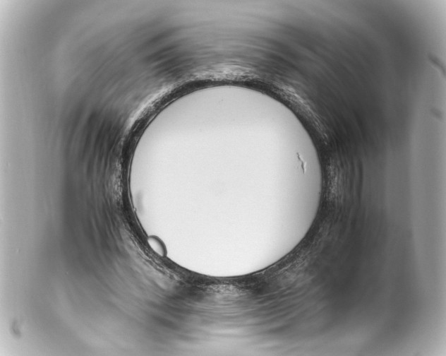 X0000099400392200805291214