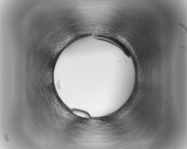 X0000099400393200805291214