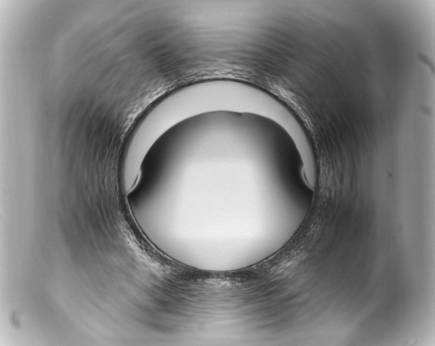 X0000099400394200805291214