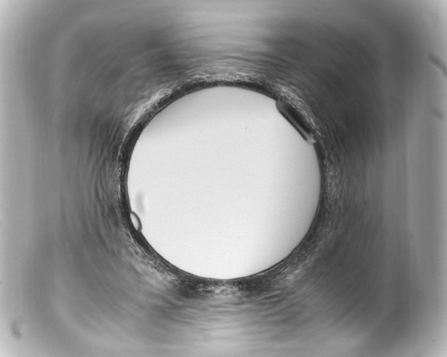 X0000099400395200805291214