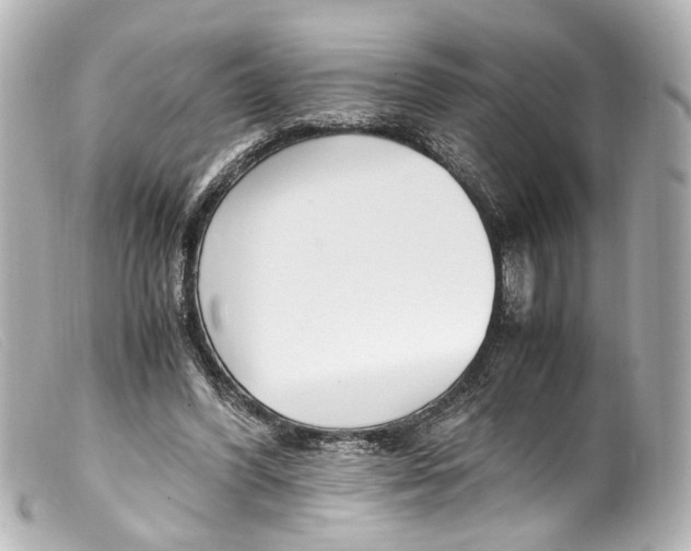 X0000099400396200805291214