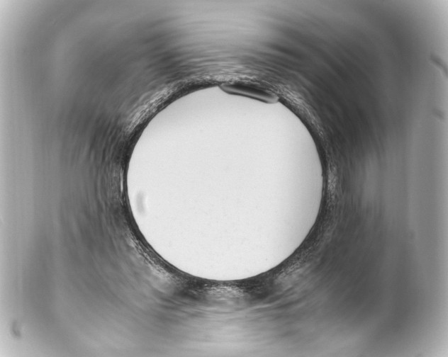 X0000099400397200805291214