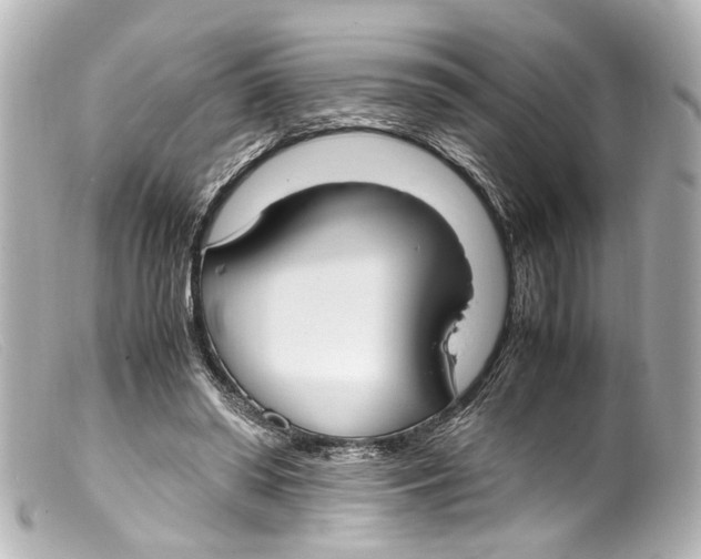 X0000099400398200805291214