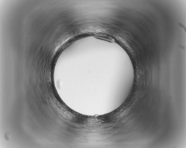 X0000099400399200805291214