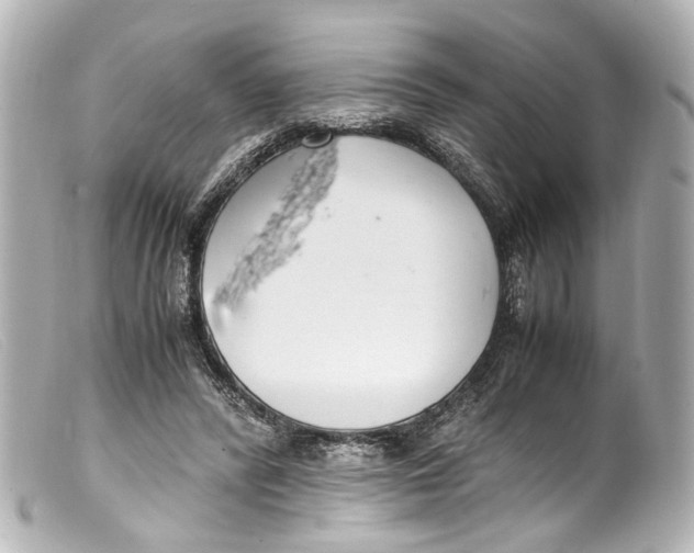 X0000099400400200805291214