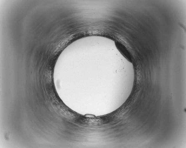 X0000099400401200805291214