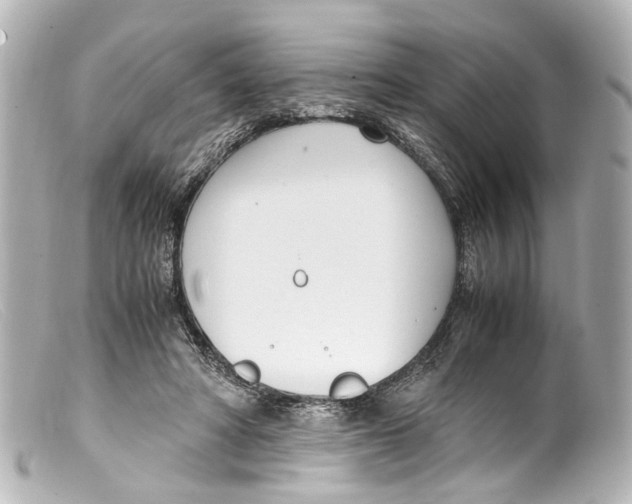 X0000099400402200805291214