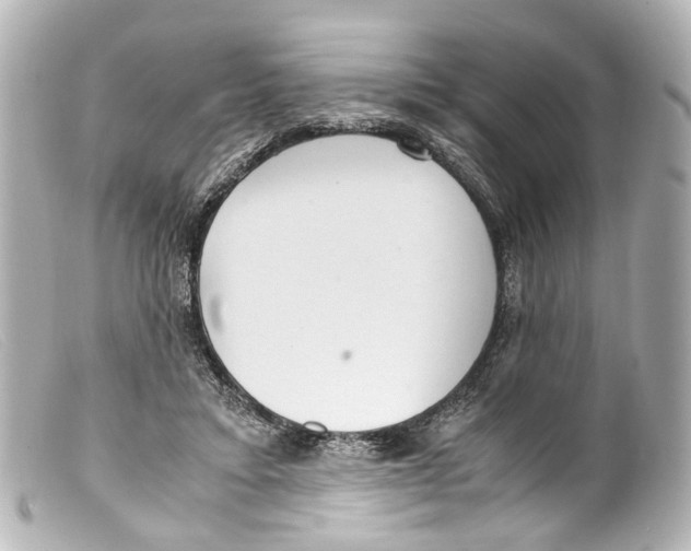 X0000099400403200805291214