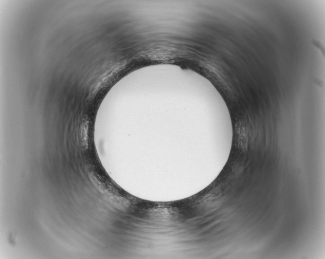 X0000099400404200805291214