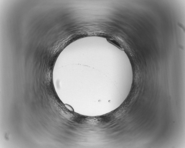 X0000099400405200805291214