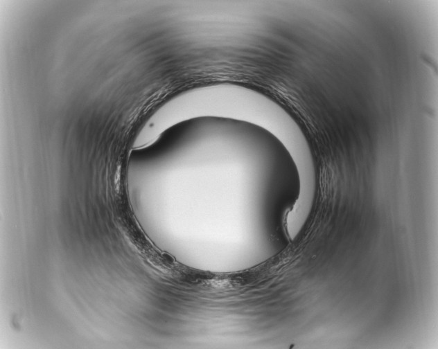 X0000099400406200805291214