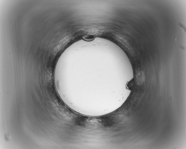 X0000099400407200805291214