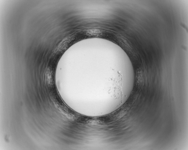 X0000099400408200805291214