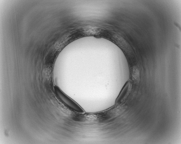 X0000099400409200805291214