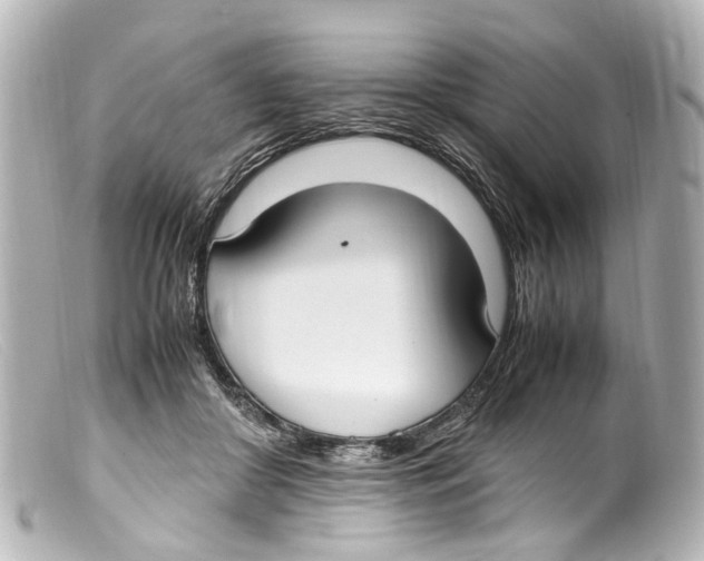 X0000099400410200805291214