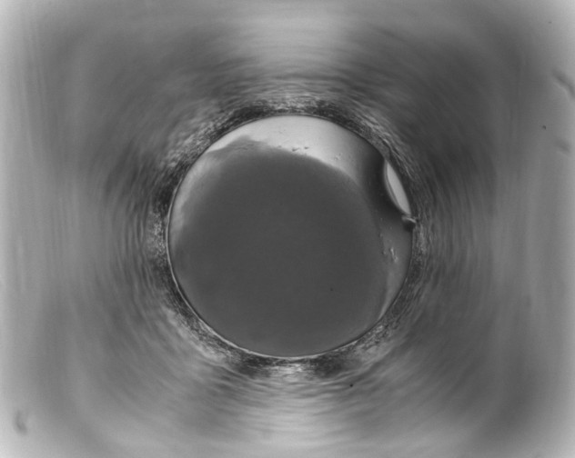 X0000099400411200805291214