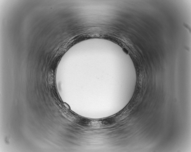 X0000099400413200805291214