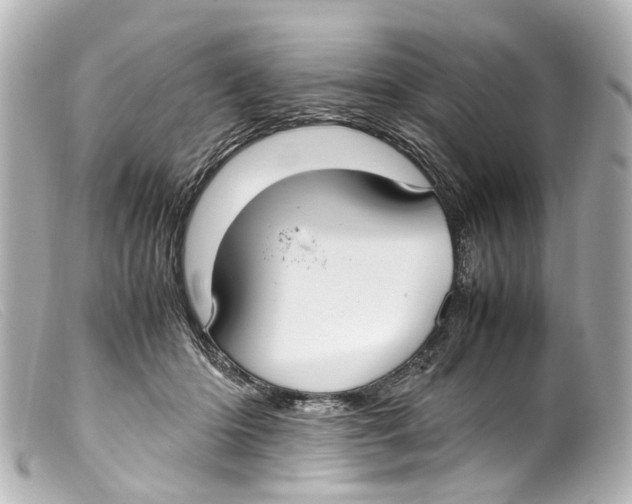 X0000099400414200805291214