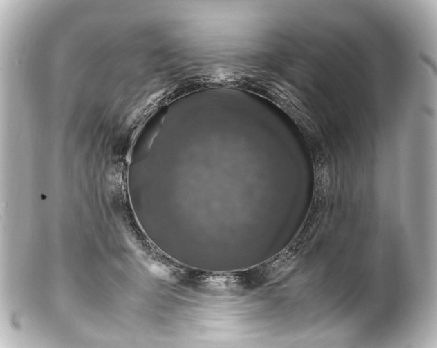 X0000099400415200805291214