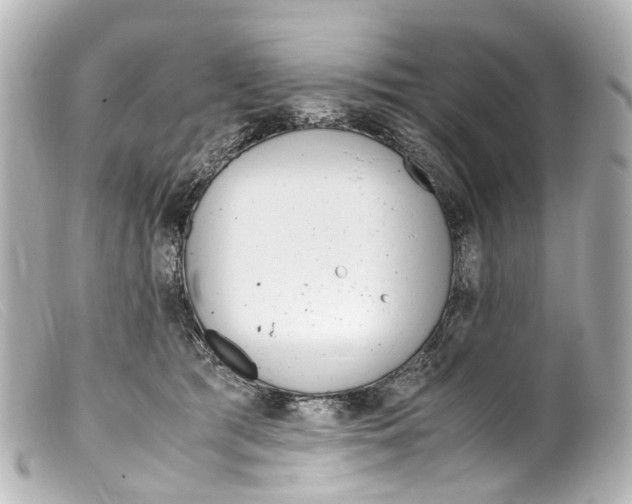 X0000099400417200805291214