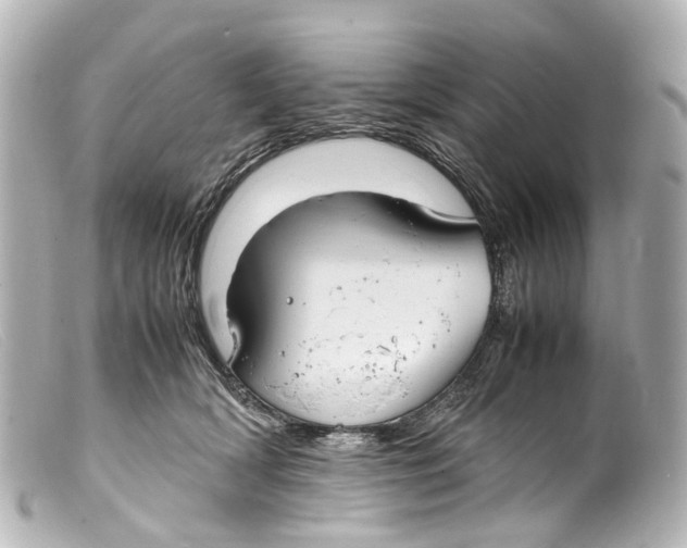 X0000099400418200805291214