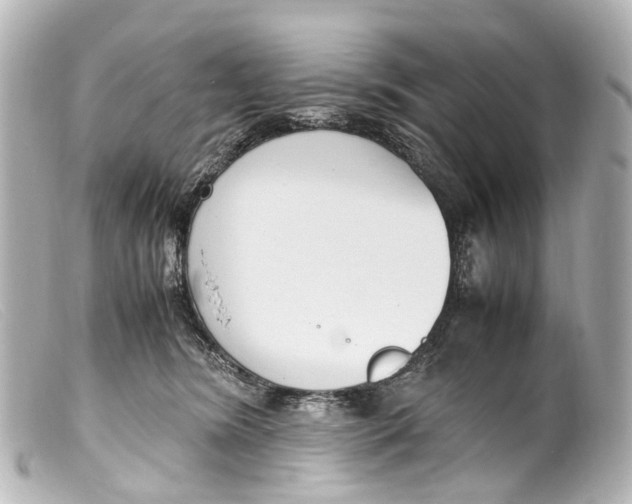 X0000099400420200805291214