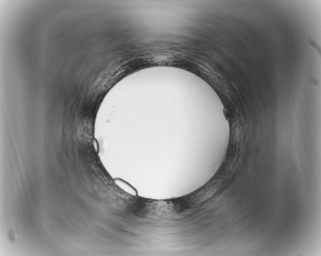 X0000099400421200805291214