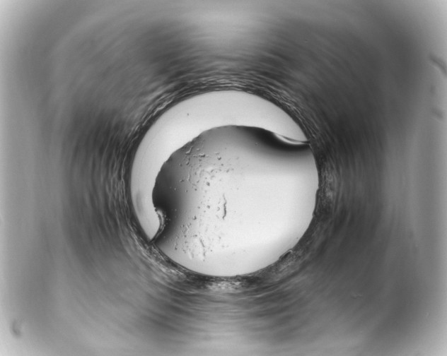 X0000099400422200805291214