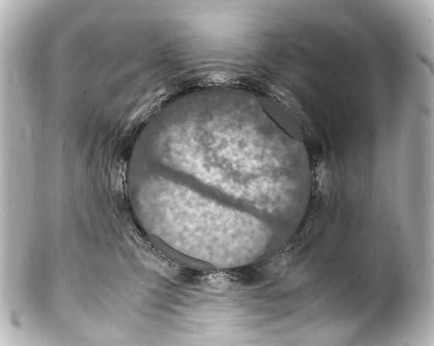 X0000099400423200805291214