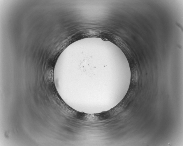 X0000099400425200805291214