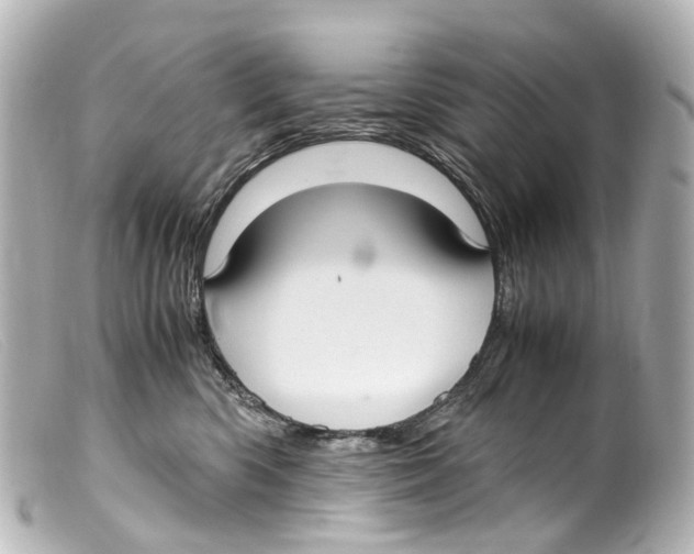 X0000099400426200805291214