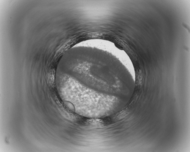 X0000099400427200805291214