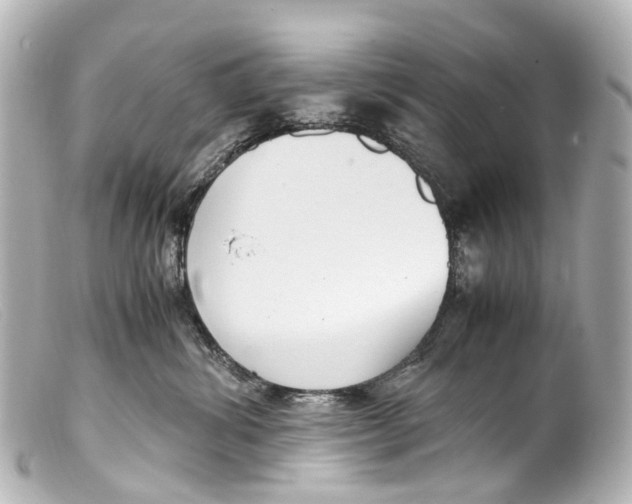 X0000099400428200805291214