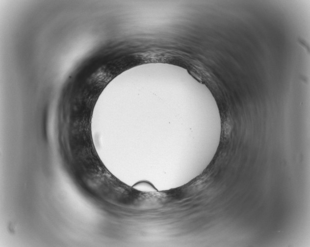 X0000099400429200805291214