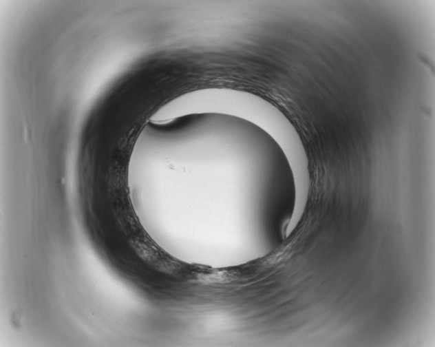 X0000099400430200805291214