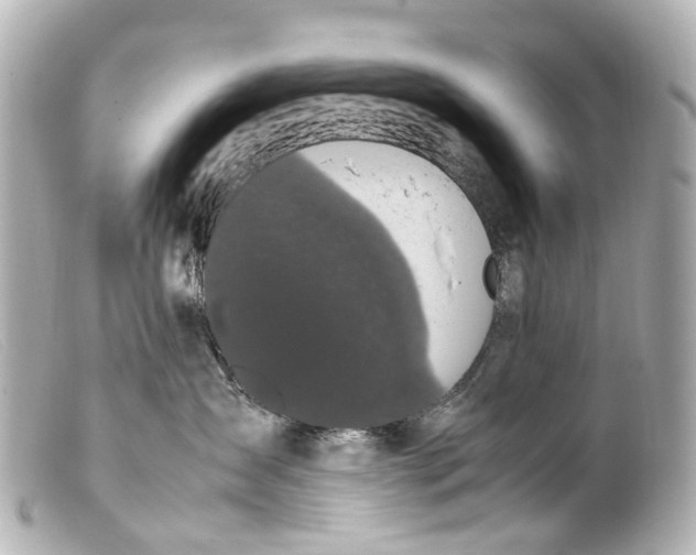 X0000099400431200805291214