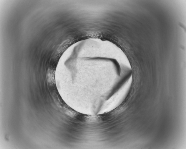 X0000099400432200805291214