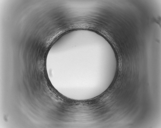 X0000099400434200805291213