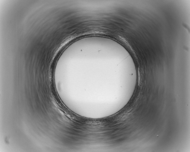 X0000099400435200805291213