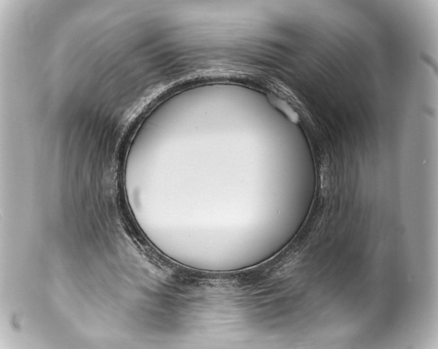 X0000099400436200805291213