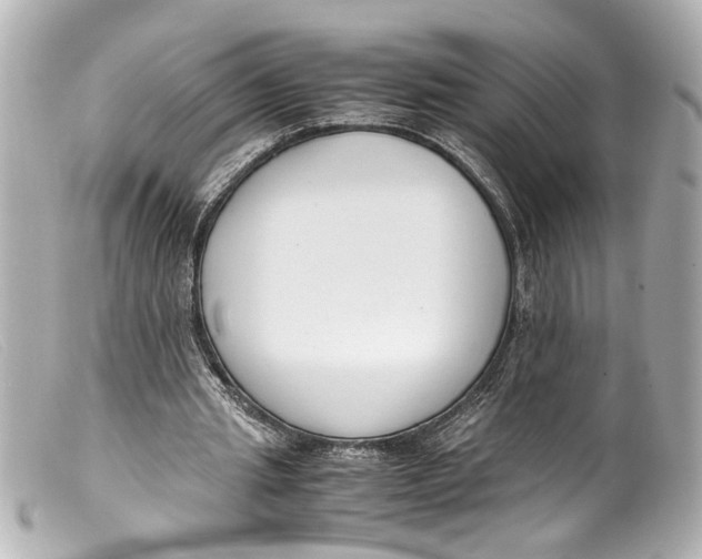 X0000099400437200805291213