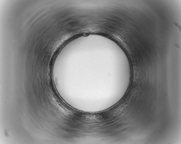 X0000099400439200805291213