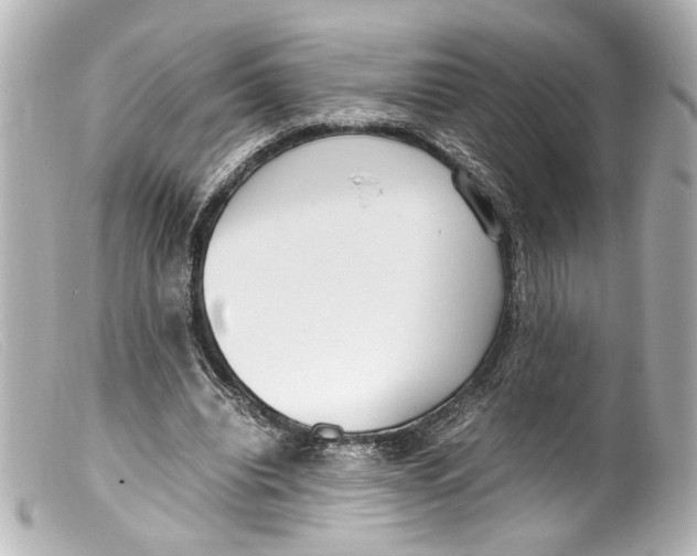 X0000099400440200805291213