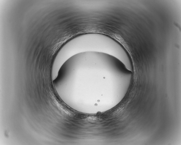 X0000099400441200805291213