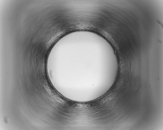 X0000099400442200805291213