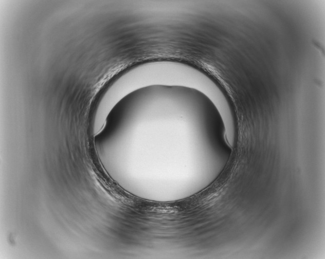 X0000099400443200805291213