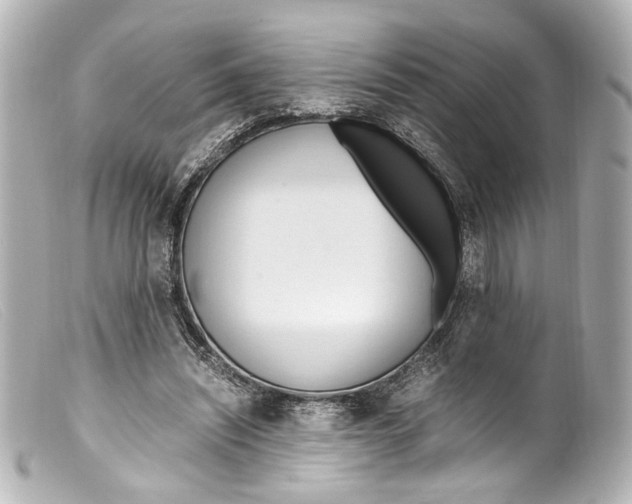 X0000099400444200805291213