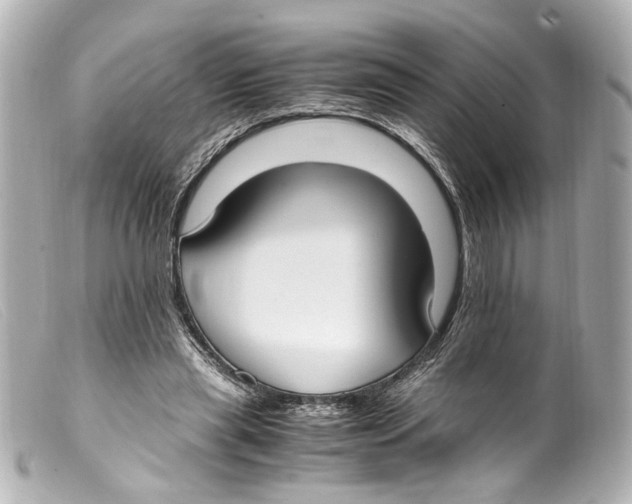 X0000099400445200805291213