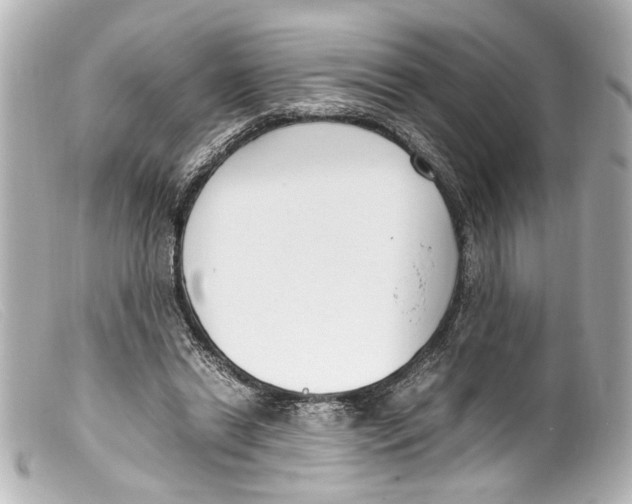 X0000099400446200805291213