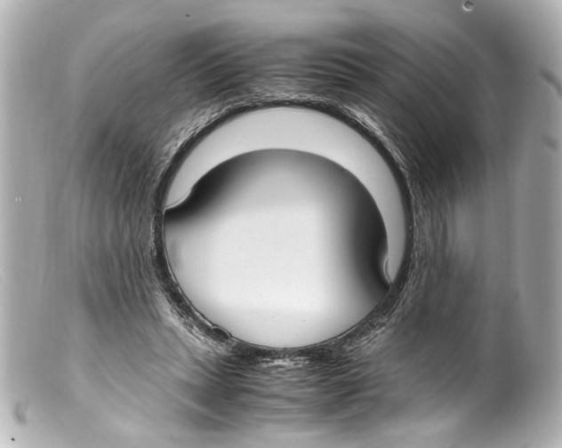 X0000099400447200805291213